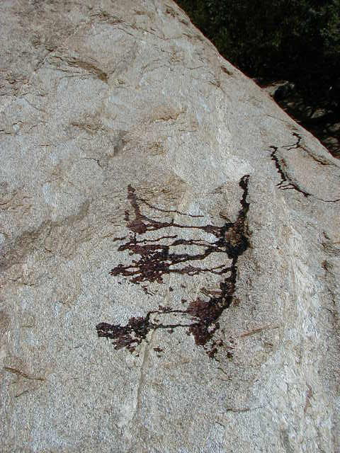 Blood at the base of 'Space Cowboy'